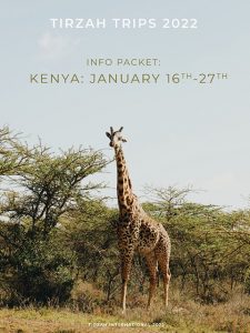 A giraffe in the wilds of Kenya become the cover of the travel guide.