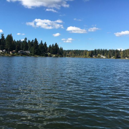 Lake picture with trees around it.